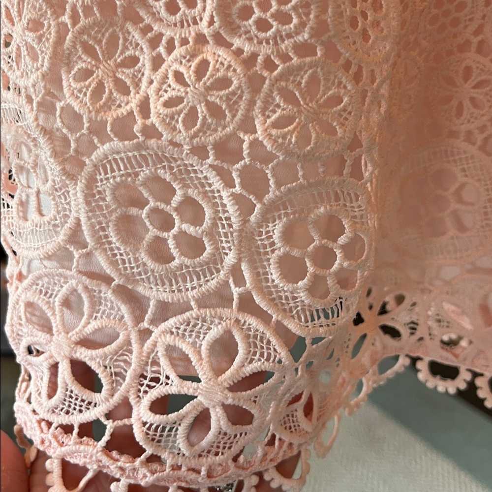 Lovers + Friends Revolve Blush Pink Lace Happy Hour Mini dress, size X-Large - Picture 8 of 9